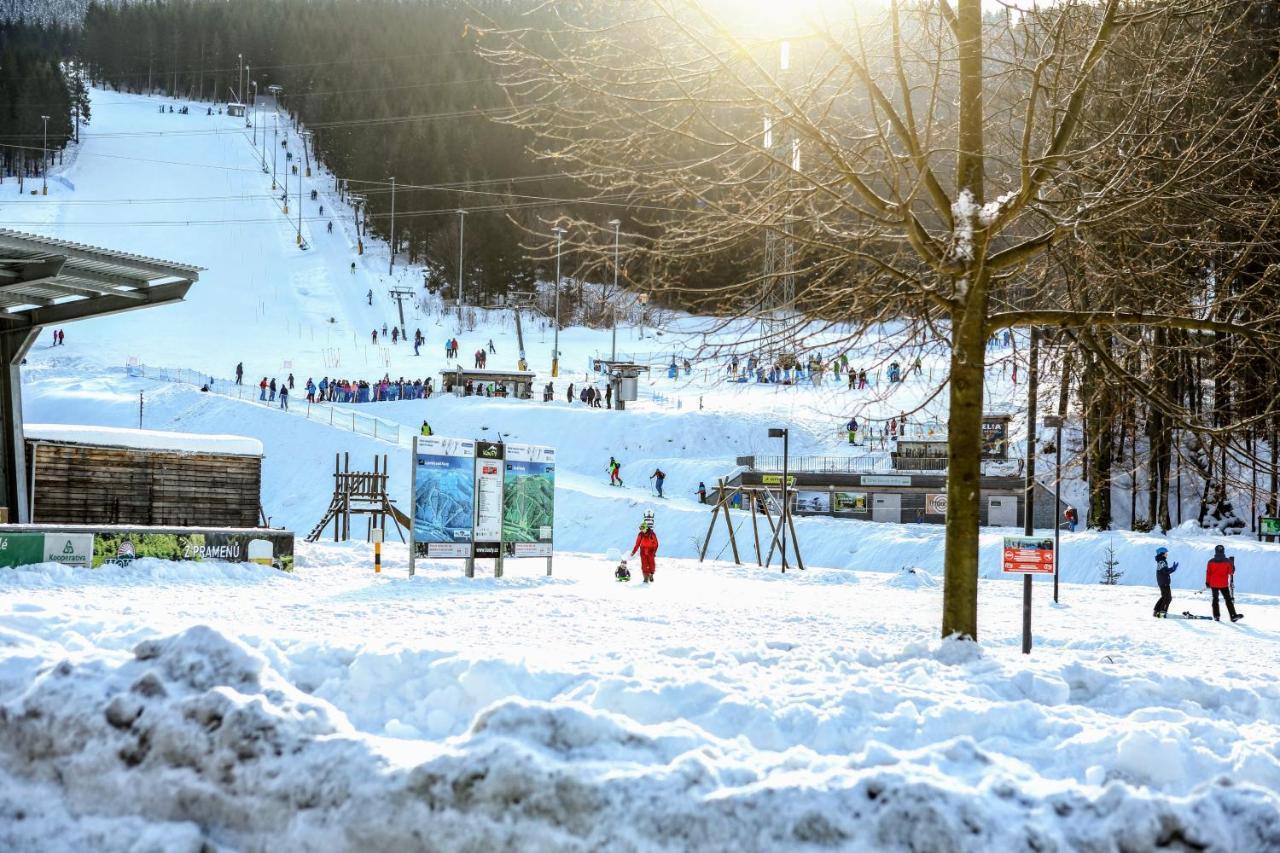 Chata U Vleku Kouty Nad Desnou Loučná nad Desnou Exterior foto
